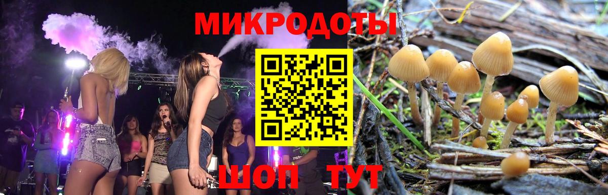 Псилоцибиновые грибы GOLDEN TEACHER Калининград