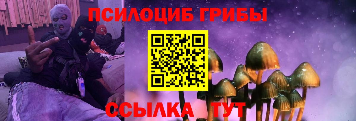 Калининград  Псилоцибиновые грибы Psilocybe  Вход с VPN  Галлюциногенные грибы Psilocybe 